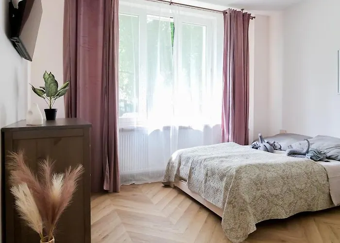 公寓 Cozy Pawlowa 弗罗茨瓦夫